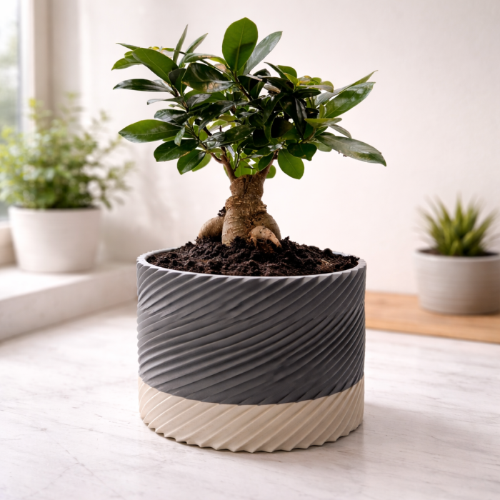 Modern spiral planter with saucer