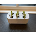 Small kitchen green onion grower without soil