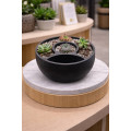 Self-watering pot with water reservoir
