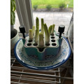Green onion grower with water reservoir