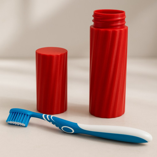 Travel toothbrush holder