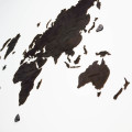 Black Wooden Wall World Map