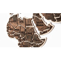 Wooden Wall World Map