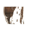 Wooden Wall World Map