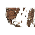 Wooden Wall World Map
