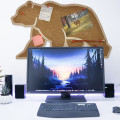Cork Board Bear