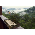 Wooden Bird Feeder 