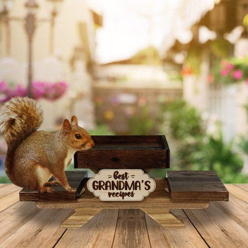Squirrel Feeder 