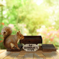 Squirrel Feeder 