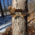 Squirrel Feeder 