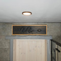 Wooden Snake 3D Wall Decoration from Oak