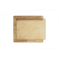Document Trays