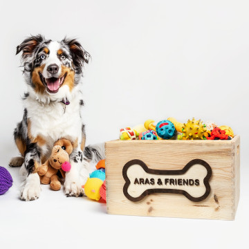 Wooden Dog Toy Box