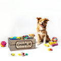 Wooden Dog Toy Box