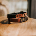 Leather Dog Collar