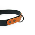 Leather Dog Collar