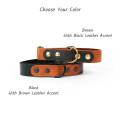 Leather Dog Collar