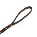 Leather Dog Leash