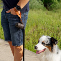 Dog Waste Bag Holder, Leather Holder
